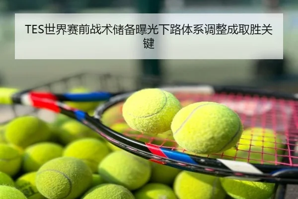 TES世界赛前战术储备曝光下路体系调整成取胜关键 - hth